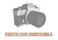 Charbon moteur