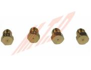 Injecteurs gaz butane