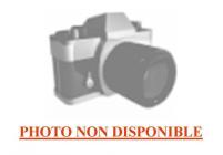 Injecteur gaz naturel 0.98
